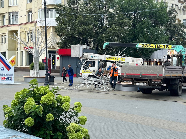 Власти демонтируют упавшее светодиодное дерево, стоимость которого составляет один млн рублей