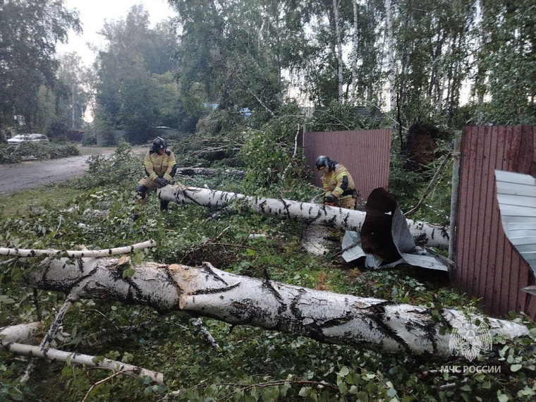 Сотрудники МЧС России помогают устранять последствия непогоды в СНТ «Курчатовец»