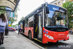 Новые автобусы. Пермь, остановка, автобус
