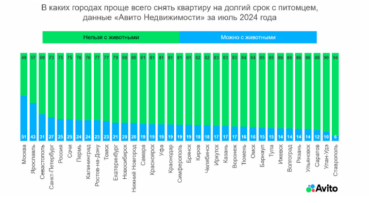 В Челябинске июле в июле снять жилье с питомцами можно только в 18% случаев