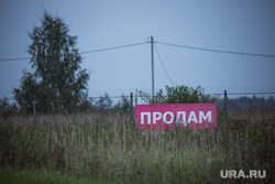 Деревня Нечесово. Московская область, Шаховской район, деревня, дача, дачный участок, село, продажа недвижимости