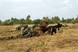Вооруженные силы Украины. stock, всу, stock