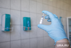 Вакцинация от ковид. Сургут, ампула, вакцинация, вакцина от коронавируса, эпиваккорона