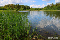 Пляж голубые озера. Курган, пляж, лето, отдых, водоем, купание, пляж голубые озера