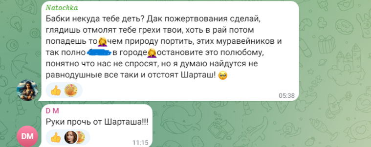 Екатеринбуржцы надеются, что берег Шарташа удастся отстоять от застройки