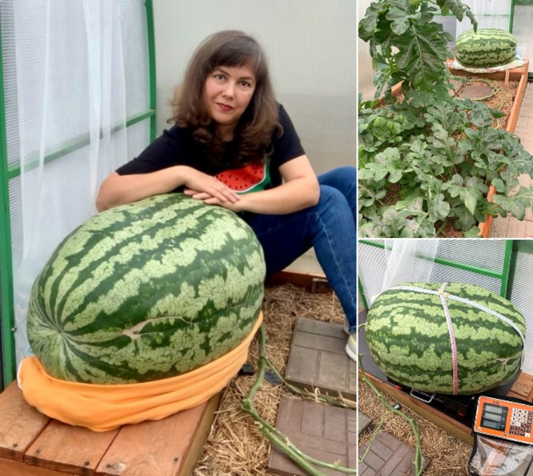 https://vk.com/karolinaoooo2?w=wall-211292589_5628