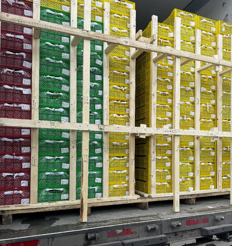 Три партии продукции вернули в Казахстан