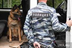 Соревнования кинологов СО. Екатеринбург, поиск взврывчатки, кинологическая служба, поиск наркотиков, досмотр машины