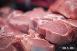 Продукты питания. Пермь, продукты, свинина, витрины, стелажи, говядина, мясная продукция, магазин, мясо, свинана