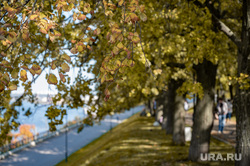 Осенние признаки. Пермь, деревья, листва, осень, набережная