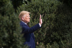 Дональд Трамп. stock, Дональд Трамп, stock