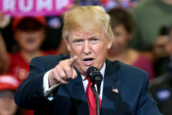 Дональд Трамп. Stock, Дональд Трамп, stock