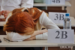 Экзамен ЕГЭ по химии. Курган, егэ, экзамен, экзамен егэ