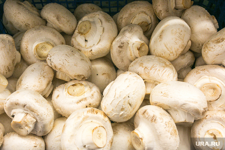 Продукты, овощи и фрукты. Тюмень