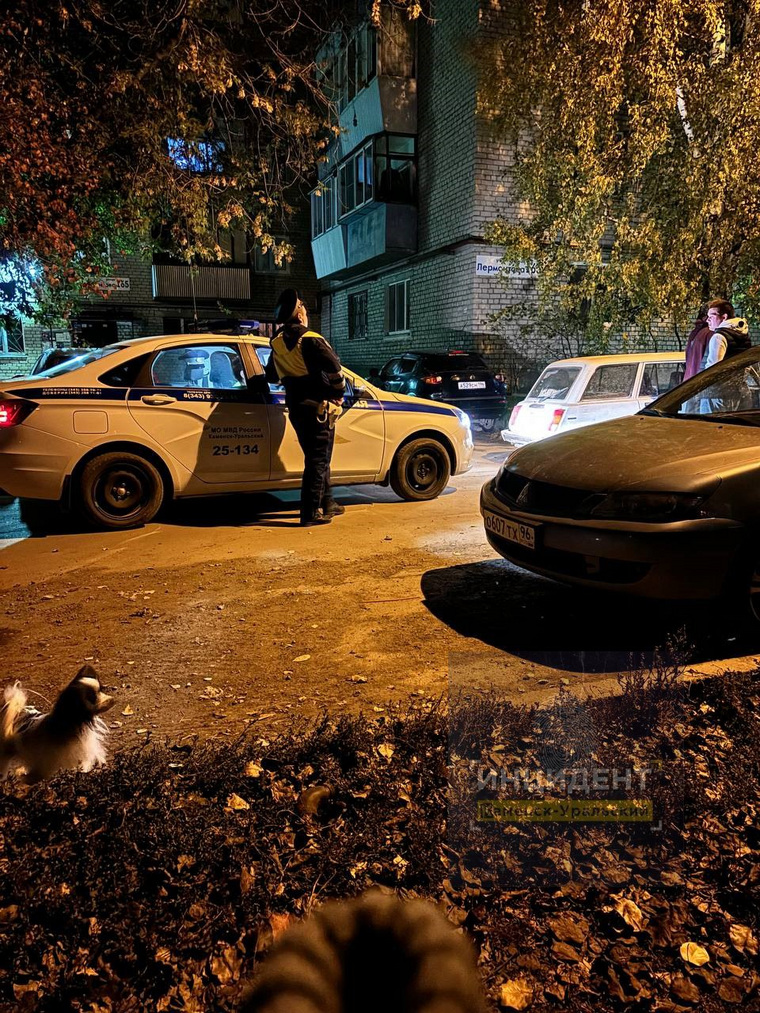 Патрульная машина догнала подростков, которые устроили погоню