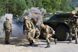 Вооруженные силы Украины. stock, бтр, всу, stock