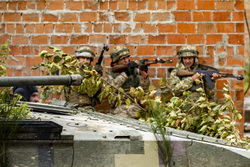 Вооруженные силы Украины. stock, всу, stock