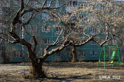 Виды Екатеринбурга, двор, поляна, детская площадка, дерево