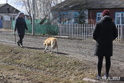 Большие Ярки, паводок. Большие Ярки, половодье, чрезвычайная ситуация, паводок, село, наводнение, сельские жители, стихийное бедствие, разлив