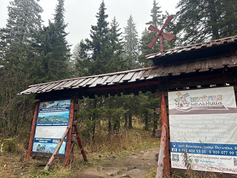 Горожане поддержали в соцсетях идею обратиться за грантом на обновление элементов экотропы
