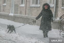 Город в снегу. Курган, снегопад, ветер, пурга, снег в городе, женщина с собакой
