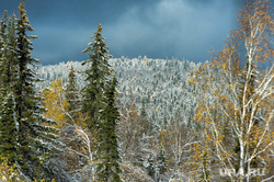 Трасса М5 Дорога Челябинск, снег, лес, природа урала, хребет уреньга
