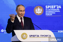 Владимир Путин на пленарной сессии Петербургского международного экономического форума ПМЭФ 2024. Санкт-Петербург, путин владимир