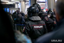 Ситуация во Внуково в связи с прилетом оппозиционера. Москва, полиция, омон