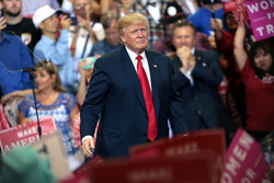 Дональд Трамп. Stock, Дональд Трамп, stock