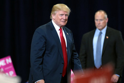 Дональд Трамп. Stock, Дональд Трамп, stock