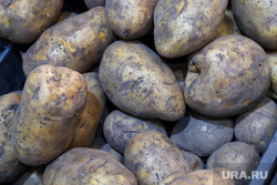 Продуктовые магазины. Екатеринбург, картофель