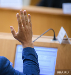 Заседание комитета Законодательного собрания Свердловской области по бюджету и финансам. Екатеринбург , депутат, карякин сергей, голосование