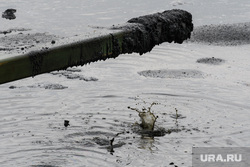 Озеро Здохня и шламонакопитель МУП "Водоканал". Екатеринбург, грязь, грязная вода, загрязнение окружающей среды, черная вода, экология