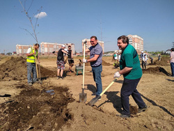 На благоустройстве парка в Нижнем Тагиле