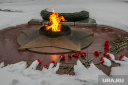 Город в снегу. Курган, вечный огонь, аллея славы, замерзшие цветы