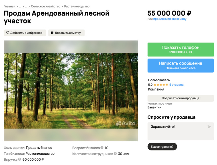 Участок под лесозаготовку продают за 55 млн рублей