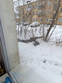 Канализационная вода уже подбирается к дому