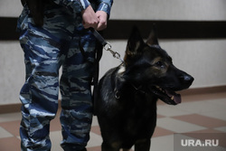 Избрание меры пресечения Аркадию Пискову. Екатеринбург , собака, патруль, минирование, полиция, суд, конвой