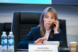 Заседание Правительства Пермского края. Пермь, быкова анна
