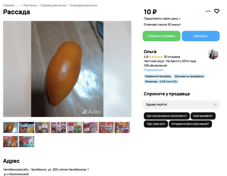 В начале весны челябинцам начали предлагать рассаду помидоров