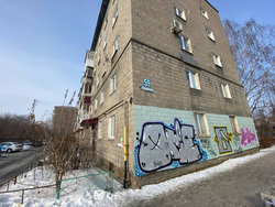 Дом, у которого Алена выбросила малыша