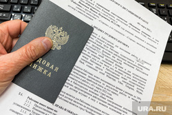 Трудоустройство. Челябинск