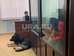 Александр Банников в суде