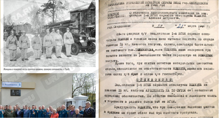 Попытку хищения капусты Кошкиным удалось предотвратить