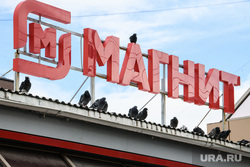Ямальские зарисовки. Салехард , магнит, птицы, ямал, голуби, магазин магнит