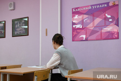 Федеральный тренировочный экзамен в школе №200 - ЕГЭ по обществознанию и английскому языку. Екатеринбург , класс, школьники, школьница
