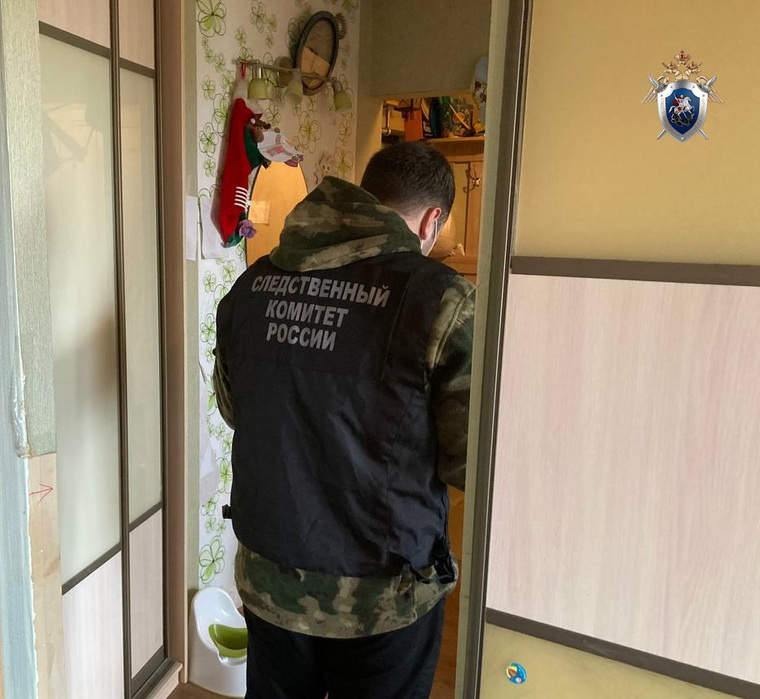 Назначен ряд экспертиз
