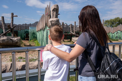 "Проверено на себе", поход в зоопарк. Пермь, зоопарк
