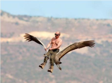 «Путин теперь не краб, он – журавль». Президент слетал с журавлями: «пощелкал клювом», «подготовился к миграции», но главой косяка так и не стал