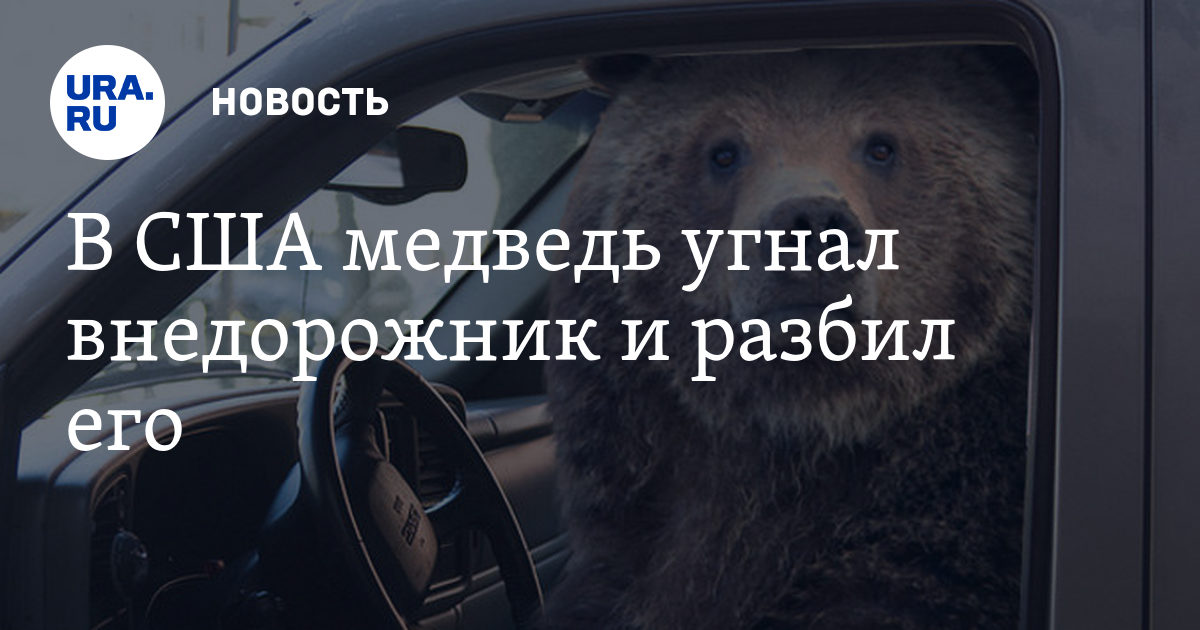 Шел Медведь По Лесу Видит Машина Горит Сел В Нее И Сгорел